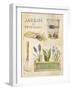 Spring Garden Poster-Angela Staehling-Framed Art Print