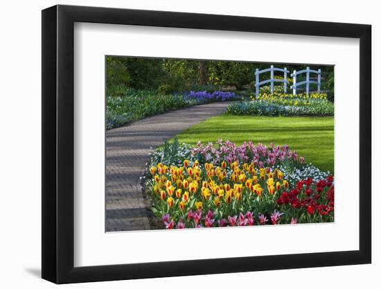 Spring Garden with Bridge-Anna Miller-Framed Photographic Print