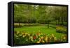 Spring Garden-neirfy-Framed Stretched Canvas