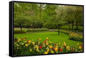 Spring Garden-neirfy-Framed Stretched Canvas