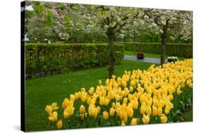 Spring Garden-neirfy-Stretched Canvas