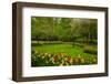 Spring Garden-neirfy-Framed Photographic Print