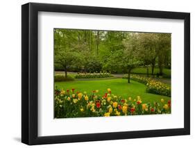 Spring Garden-neirfy-Framed Photographic Print