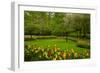 Spring Garden-neirfy-Framed Photographic Print