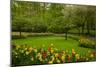 Spring Garden-neirfy-Mounted Photographic Print