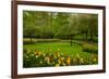 Spring Garden-neirfy-Framed Photographic Print