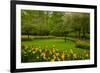 Spring Garden-neirfy-Framed Photographic Print