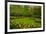 Spring Garden-neirfy-Framed Photographic Print