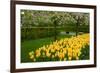 Spring Garden-neirfy-Framed Photographic Print