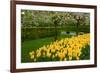 Spring Garden-neirfy-Framed Photographic Print