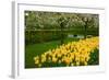 Spring Garden-neirfy-Framed Photographic Print
