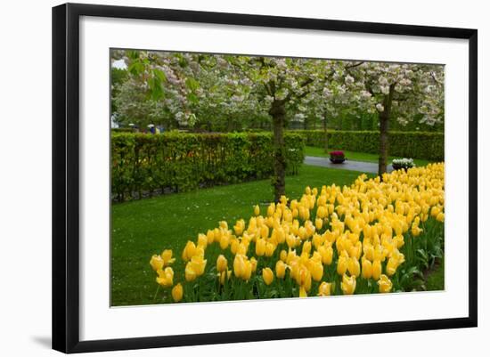 Spring Garden-neirfy-Framed Photographic Print