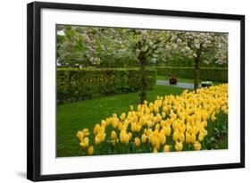 Spring Garden-neirfy-Framed Photographic Print