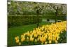Spring Garden-neirfy-Mounted Photographic Print