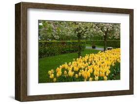 Spring Garden-neirfy-Framed Photographic Print