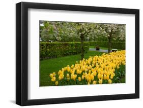 Spring Garden-neirfy-Framed Photographic Print