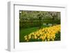 Spring Garden-neirfy-Framed Photographic Print