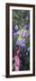 Spring Garden-Bonnie B. Cook-Framed Giclee Print