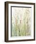 Spring Grasses I Crop-Avery Tillmon-Framed Art Print