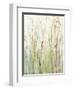 Spring Grasses I Crop-Avery Tillmon-Framed Art Print