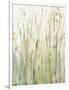 Spring Grasses I Crop-Avery Tillmon-Framed Art Print