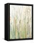 Spring Grasses I Crop-Avery Tillmon-Framed Stretched Canvas