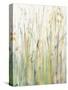 Spring Grasses I Crop-Avery Tillmon-Stretched Canvas