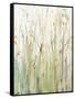 Spring Grasses I Crop-Avery Tillmon-Framed Stretched Canvas