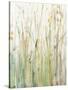 Spring Grasses I Crop-Avery Tillmon-Stretched Canvas
