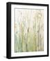 Spring Grasses I Crop-Avery Tillmon-Framed Art Print