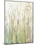 Spring Grasses I Crop-Avery Tillmon-Mounted Art Print