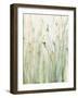 Spring Grasses II Crop-Avery Tillmon-Framed Art Print