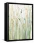 Spring Grasses II Crop-Avery Tillmon-Framed Stretched Canvas