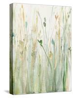 Spring Grasses II Crop-Avery Tillmon-Stretched Canvas