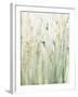 Spring Grasses II Crop-Avery Tillmon-Framed Art Print