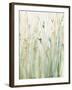 Spring Grasses II Crop-Avery Tillmon-Framed Art Print