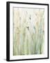 Spring Grasses II Crop-Avery Tillmon-Framed Art Print