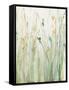 Spring Grasses II Crop-Avery Tillmon-Framed Stretched Canvas