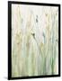 Spring Grasses II Crop-Avery Tillmon-Framed Art Print