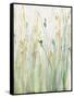 Spring Grasses II Crop-Avery Tillmon-Framed Stretched Canvas