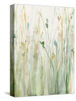 Spring Grasses II Crop-Avery Tillmon-Stretched Canvas