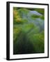 Spring Grasses in Calm Stream, Yellowstone National Park, Wyoming, USA-Jerry Ginsberg-Framed Premium Photographic Print