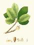 Just the Print