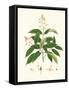Spring Green Foliage V-Unknown-Framed Stretched Canvas
