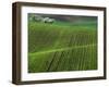 Spring Green Pea Fields, Palouse, Washington, USA-Terry Eggers-Framed Premium Photographic Print