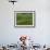 Spring Green Pea Fields, Palouse, Washington, USA-Terry Eggers-Framed Photographic Print displayed on a wall