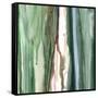 Spring Green Splash A-Tracy Hiner-Framed Stretched Canvas