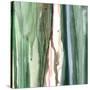 Spring Green Splash A-Tracy Hiner-Stretched Canvas