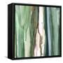 Spring Green Splash A-Tracy Hiner-Framed Stretched Canvas