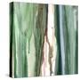 Spring Green Splash A-Tracy Hiner-Stretched Canvas